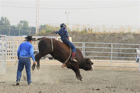 Bull riders salary. Things To Know About Bull riders salary. 